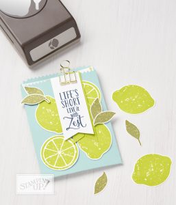 Das Produktpaket Lemon Zest verspricht Sommer und gue Laune.